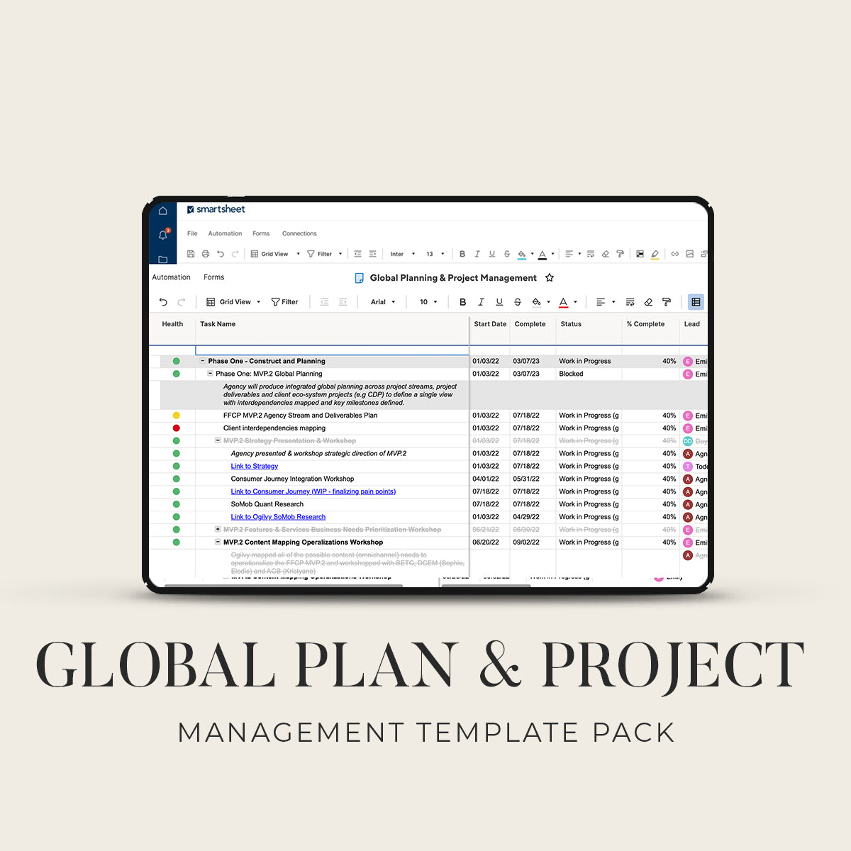 Project Management & Global Planning Template